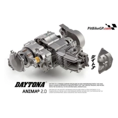 DAYTONA ANIMA 190F 4V