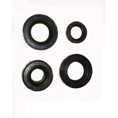 retenes-motor-pitbike