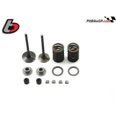 KIT REPARACIÓN VALVULAS TB ARTS