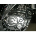 MOTOR 250CC
