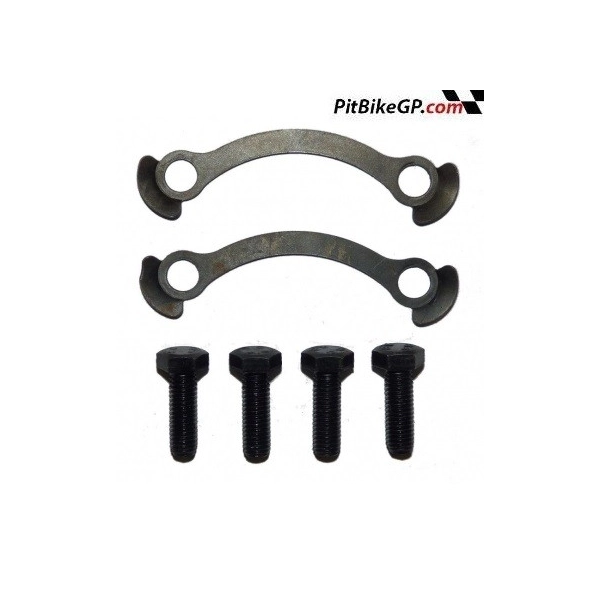 FIJADORES DE CORONA CON TORNILLOS