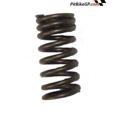 MUELLE DE VÁLVULA MOTORES DAYTONA 150-190