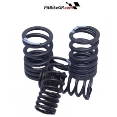 MUELLES DE VÁLVULA MOTOR Z190