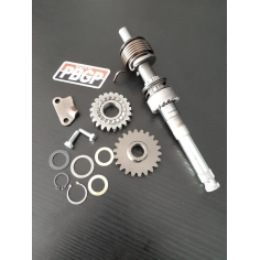 LLANTA DELANTERA 12×2.75