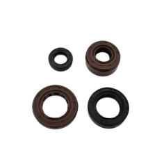 retenes-motor-pitbike 2