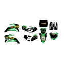 ADHESIVOS PARA TU PITBIKE FORMATO TTR