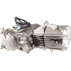 Motor Daytona Anima 190c.c. SYS