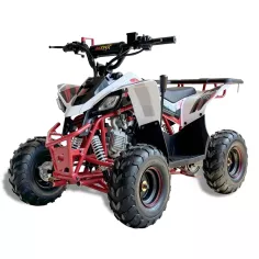 Mini quad para niños Predator