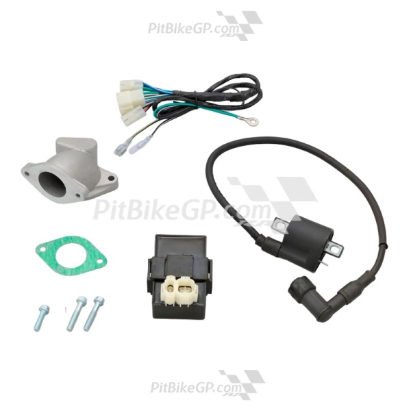 MOTOR DAYTONA ANIMA 190SYS para pit bike