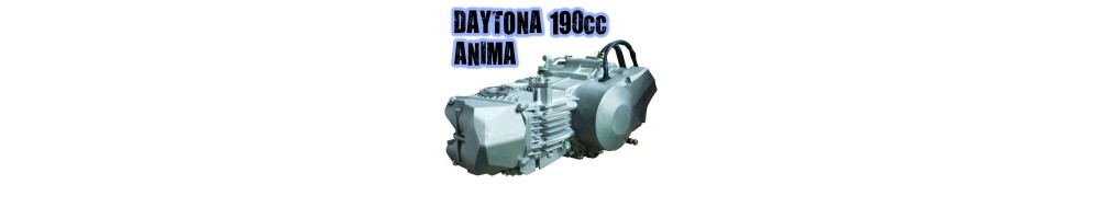 Motores Daytona todas las cilindradas